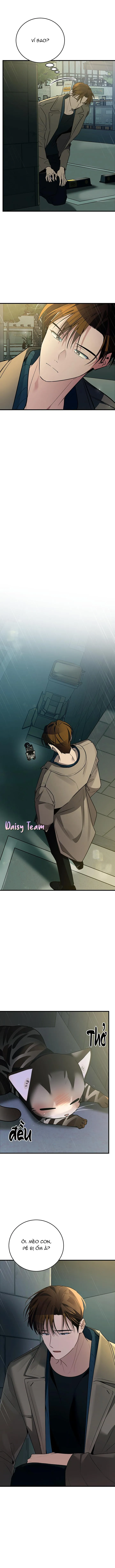Sinh mèo con cho tôi mau trước khi thằng này điên lên Chapter 2 Trang 22