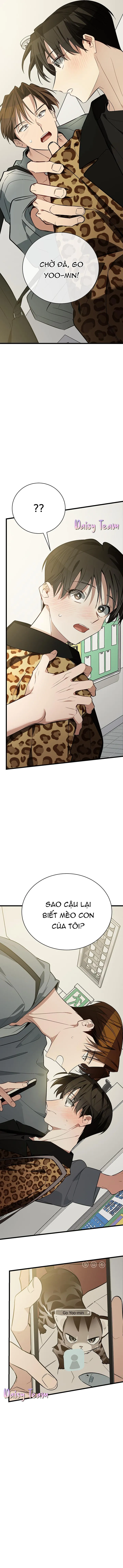Sinh mèo con cho tôi mau trước khi thằng này điên lên Chapter 4 Trang 16