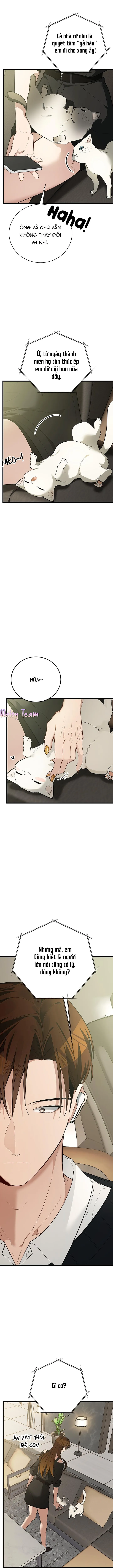 Sinh mèo con cho tôi mau trước khi thằng này điên lên Chapter 5 Trang 5