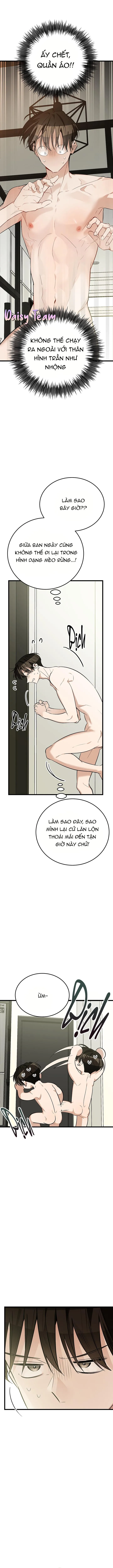 Sinh mèo con cho tôi mau trước khi thằng này điên lên Chapter 9 Trang 3