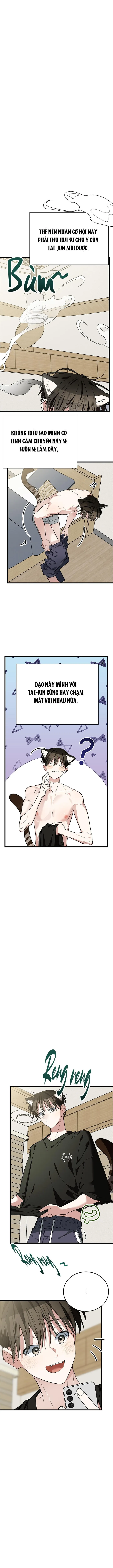 Sinh mèo con cho tôi mau trước khi thằng này điên lên Chapter 9 Trang 11