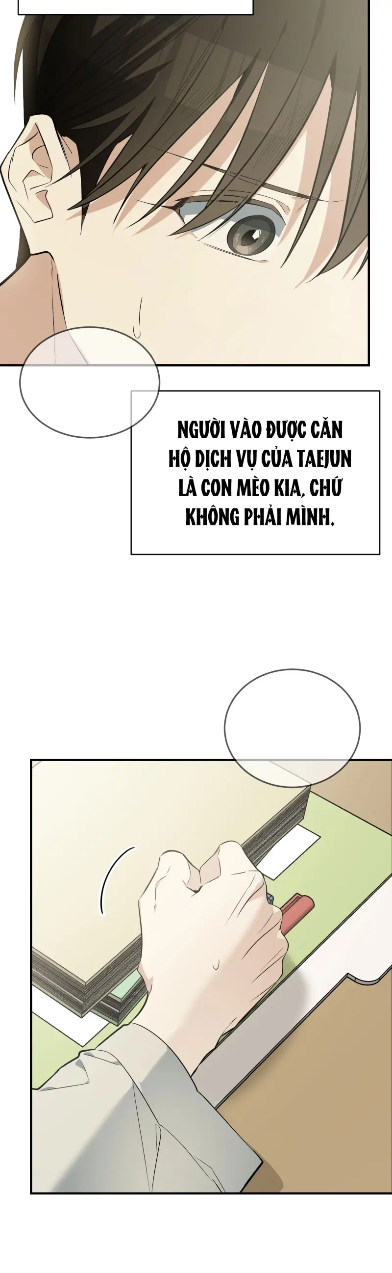 Sinh mèo con cho tôi mau trước khi thằng này điên lên Chapter 14 Trang 46