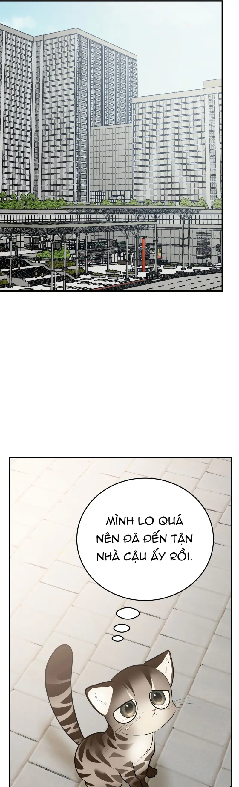 Sinh mèo con cho tôi mau trước khi thằng này điên lên Chapter 14 Trang 49