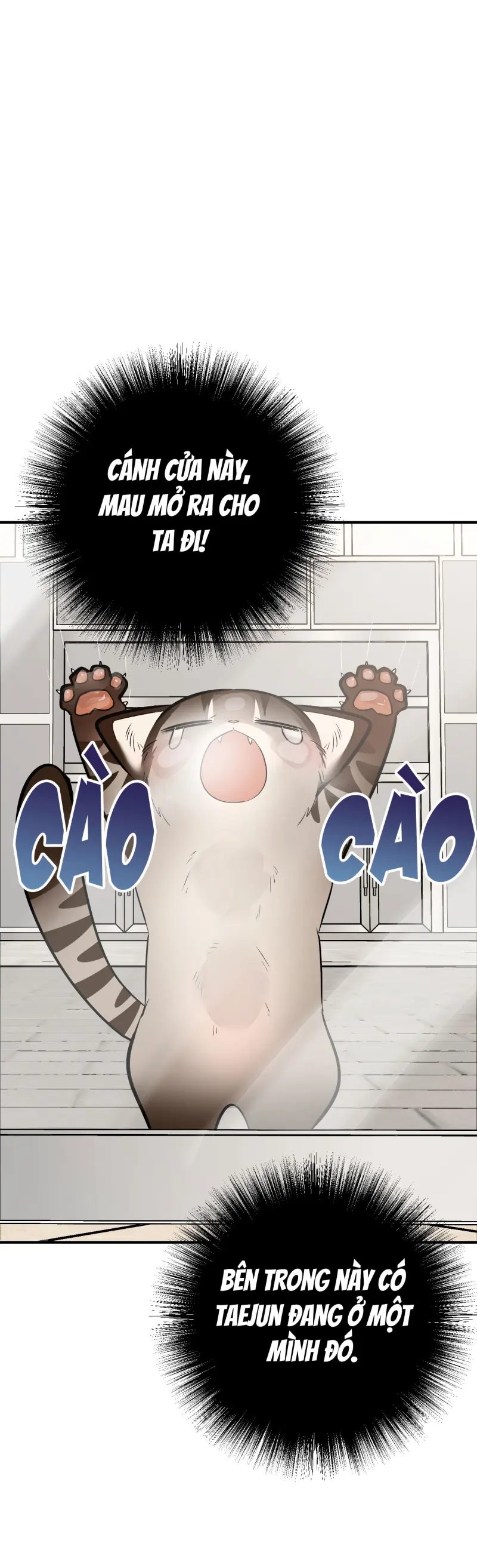 Sinh mèo con cho tôi mau trước khi thằng này điên lên Chapter 14 Trang 51