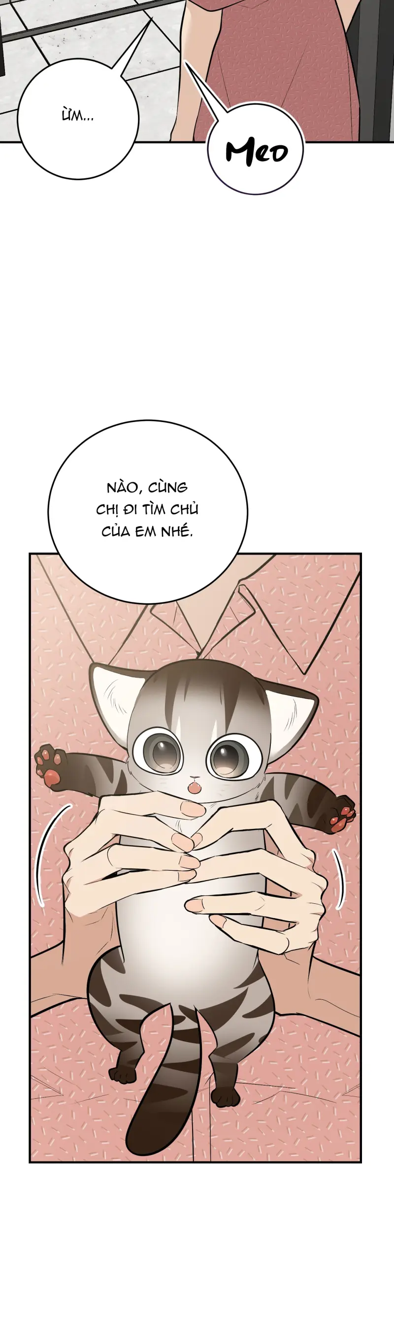 Sinh mèo con cho tôi mau trước khi thằng này điên lên Chapter 14 Trang 55