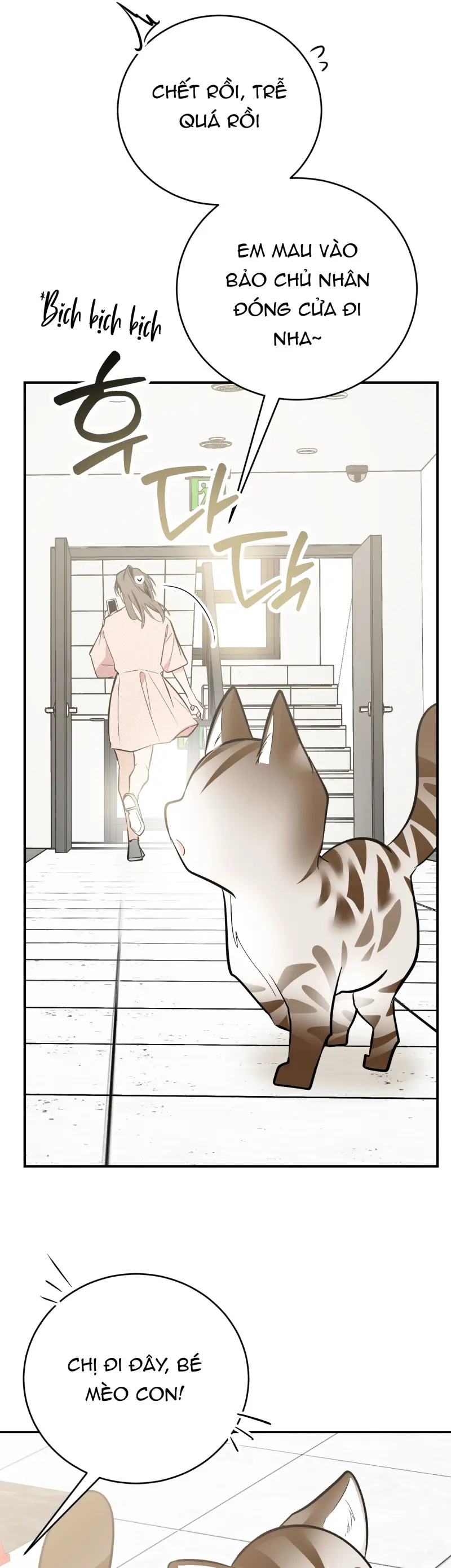 Sinh mèo con cho tôi mau trước khi thằng này điên lên Chapter 14 Trang 61