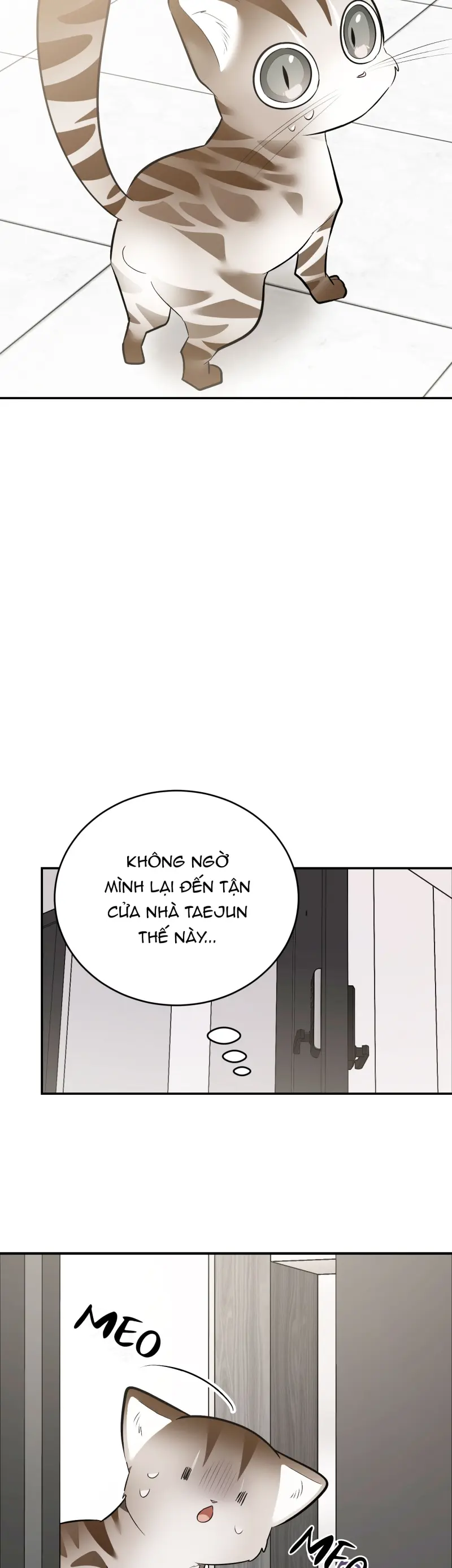 Sinh mèo con cho tôi mau trước khi thằng này điên lên Chapter 14 Trang 62