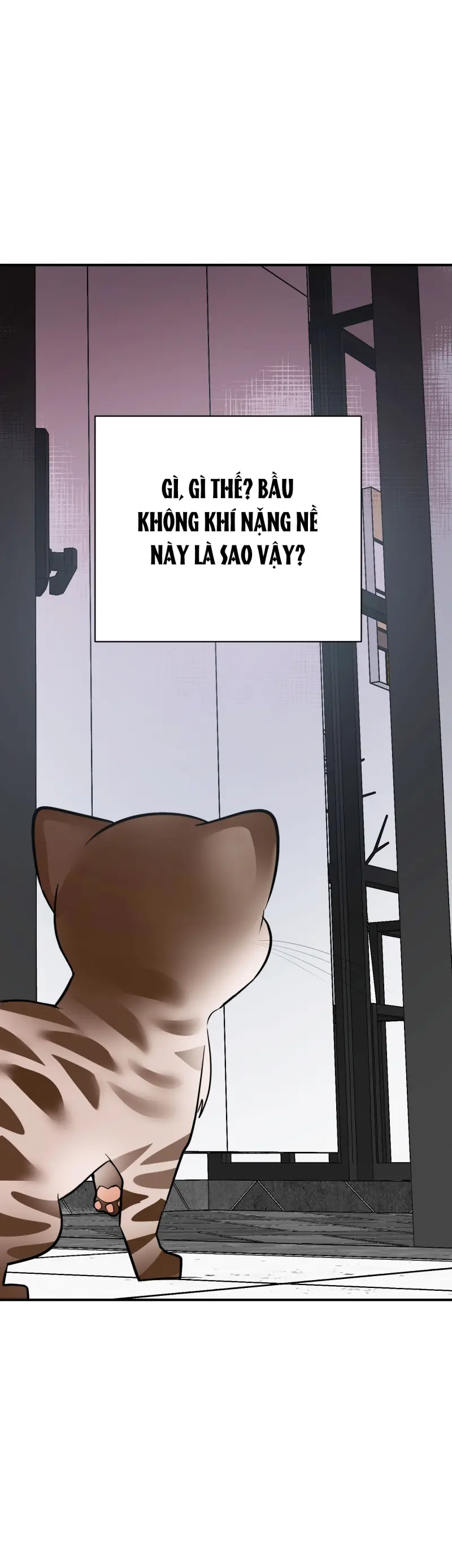 Sinh mèo con cho tôi mau trước khi thằng này điên lên Chapter 14 Trang 64