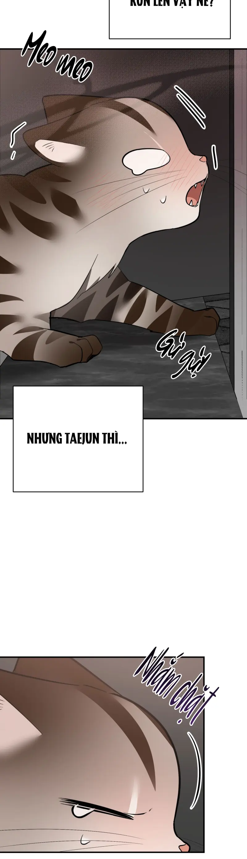 Sinh mèo con cho tôi mau trước khi thằng này điên lên Chapter 14 Trang 66