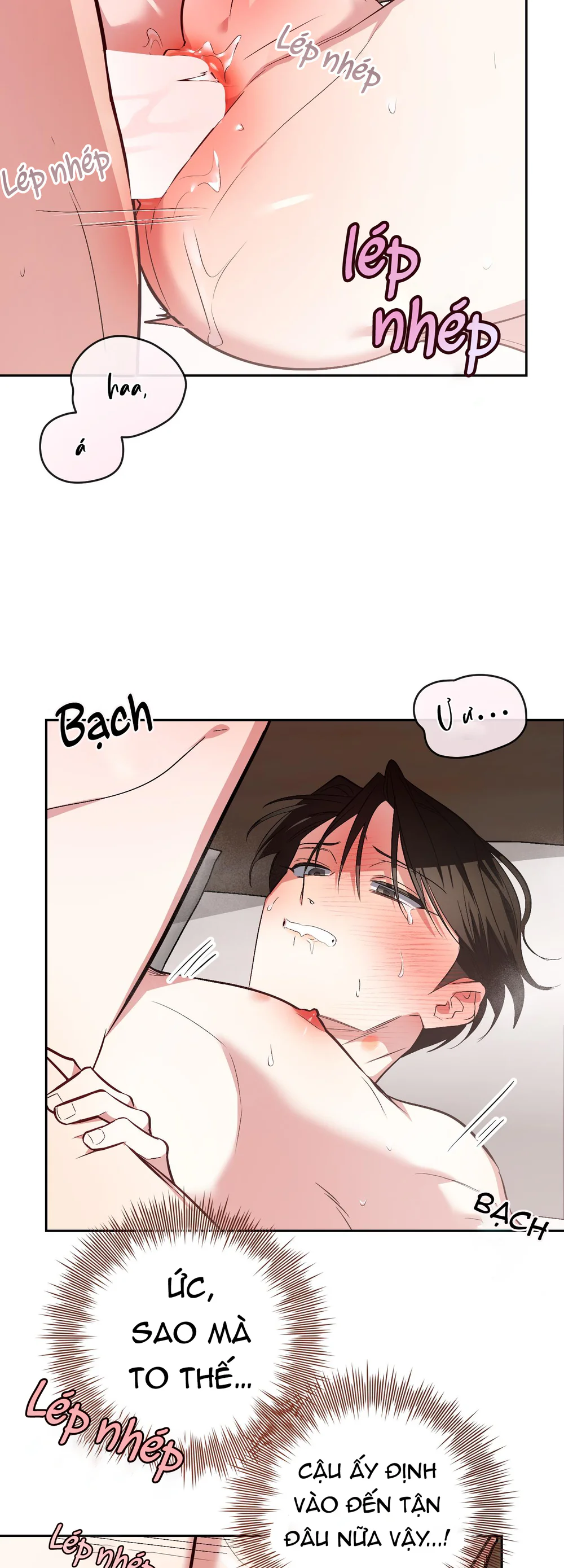 Sinh mèo con cho tôi mau trước khi thằng này điên lên Chapter 22 Trang 20