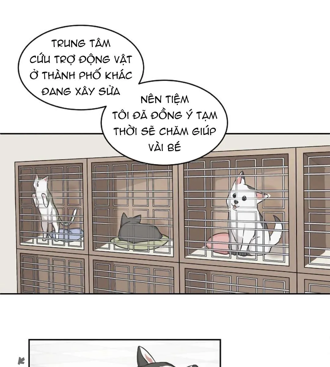 Sit, Wait, Kiss Me Chapter 23 Trang 10