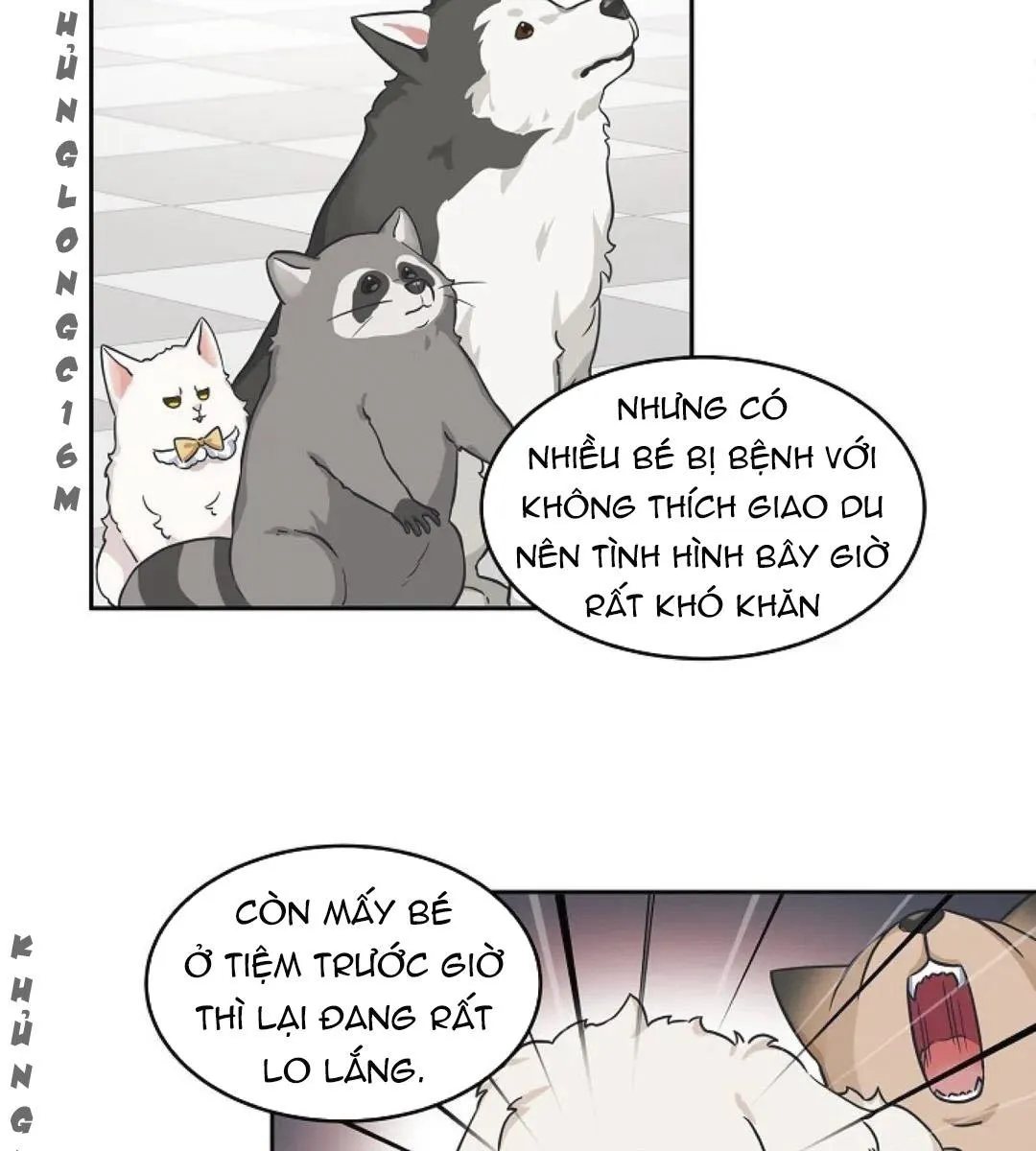 Sit, Wait, Kiss Me Chapter 23 Trang 11