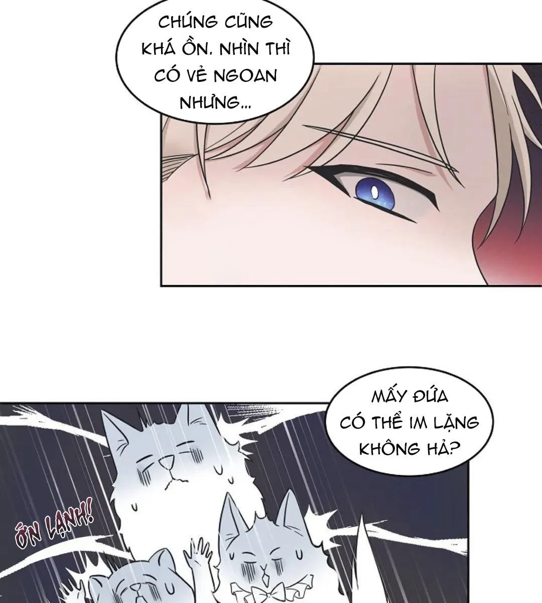 Sit, Wait, Kiss Me Chapter 23 Trang 49