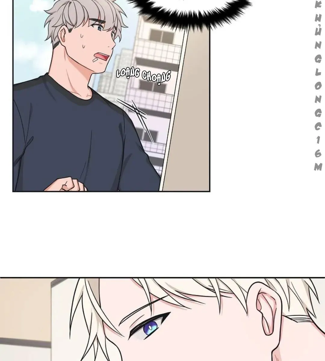 Sit, Wait, Kiss Me Chapter 24 Trang 12