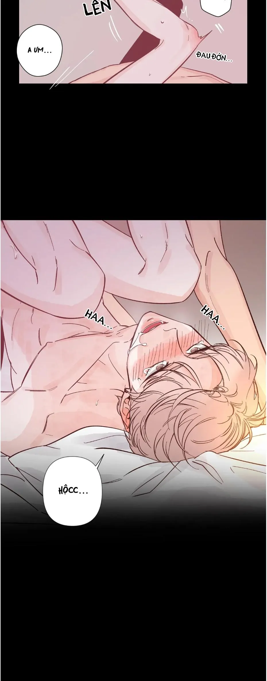 SKETCH Chapter 2 Trang 17