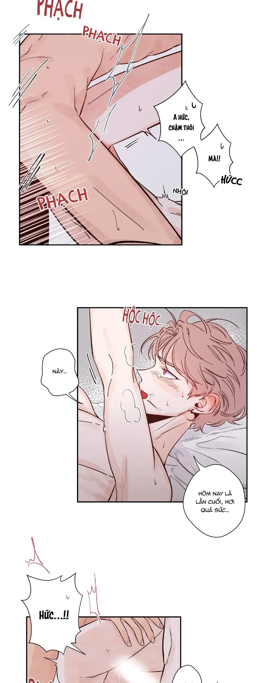 SKETCH Chapter 2 Trang 19