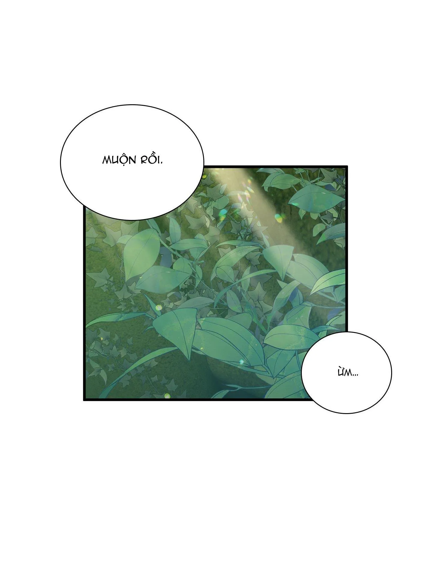 SMYRNA VÀ CAPRI Chapter 33 Trang 10