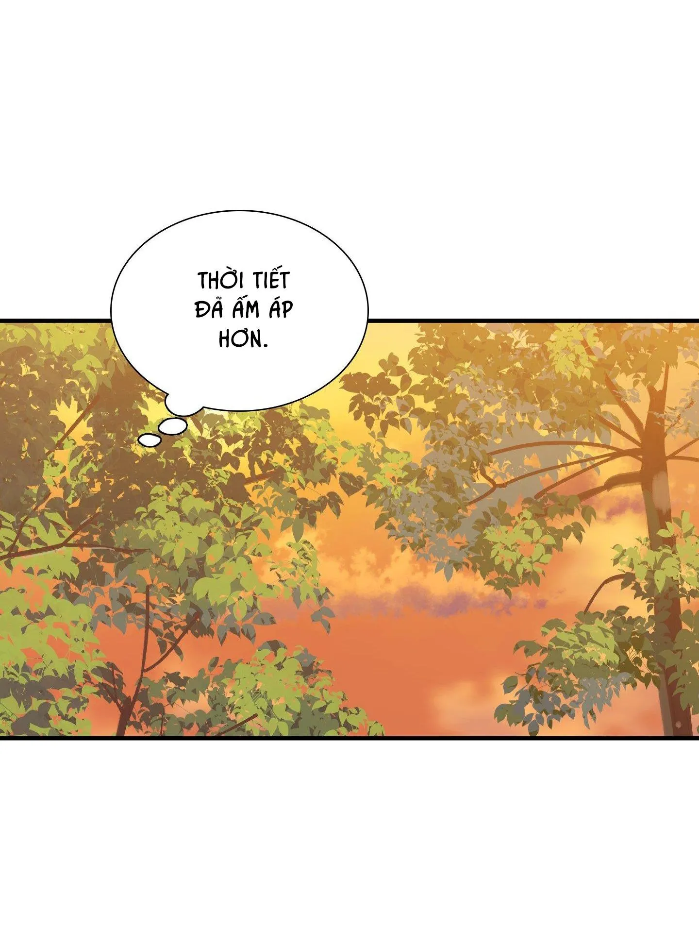 SMYRNA VÀ CAPRI Chapter 37 Trang 51