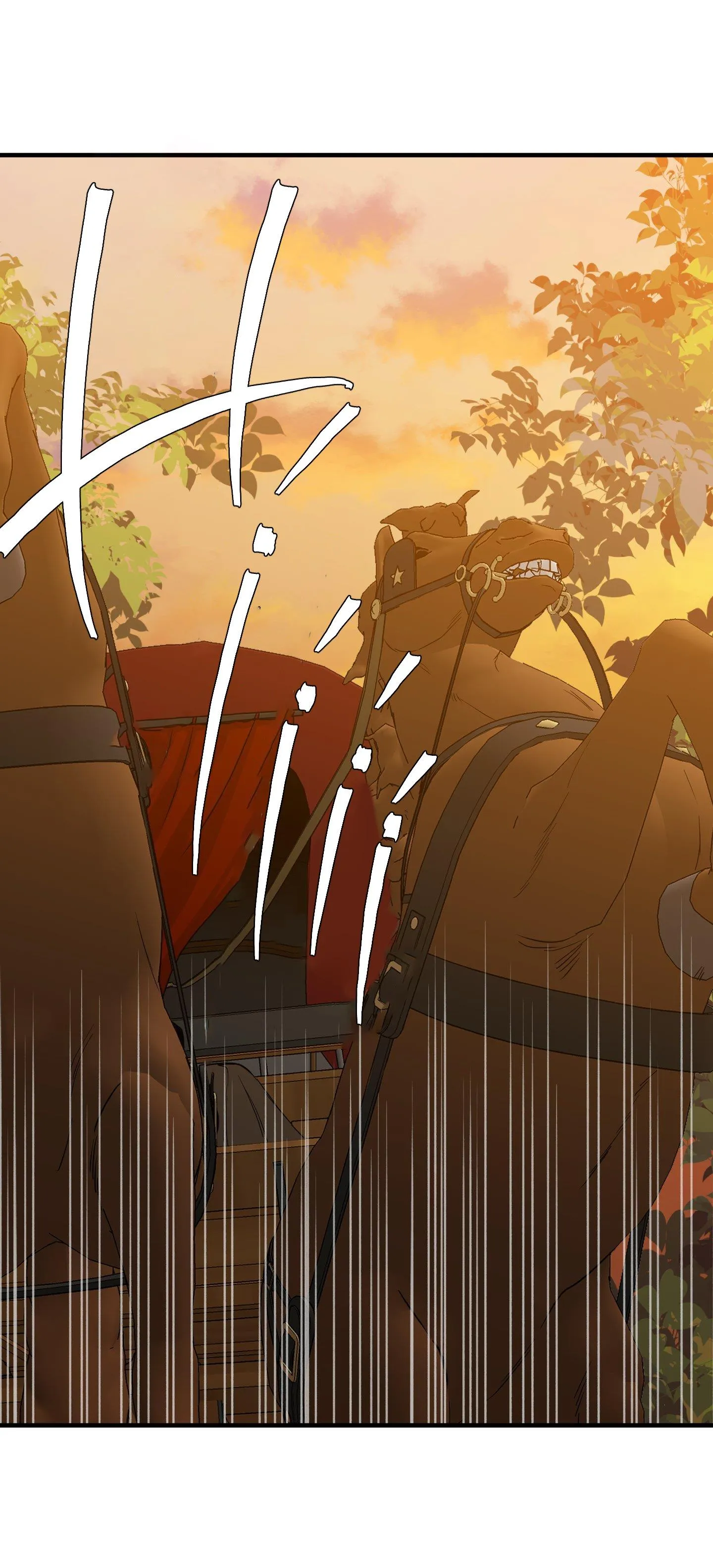 SMYRNA VÀ CAPRI Chapter 37 Trang 55