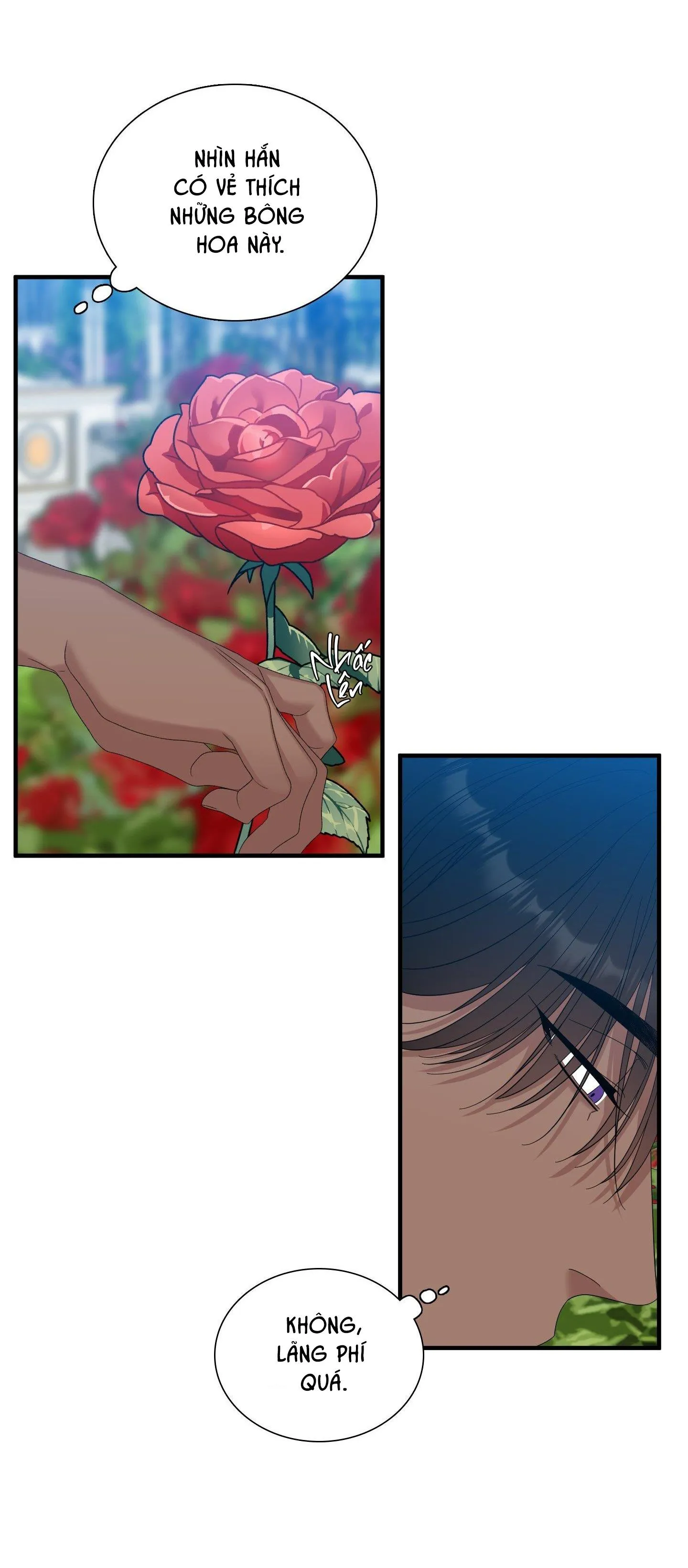 SMYRNA VÀ CAPRI Chapter 42 Trang 16