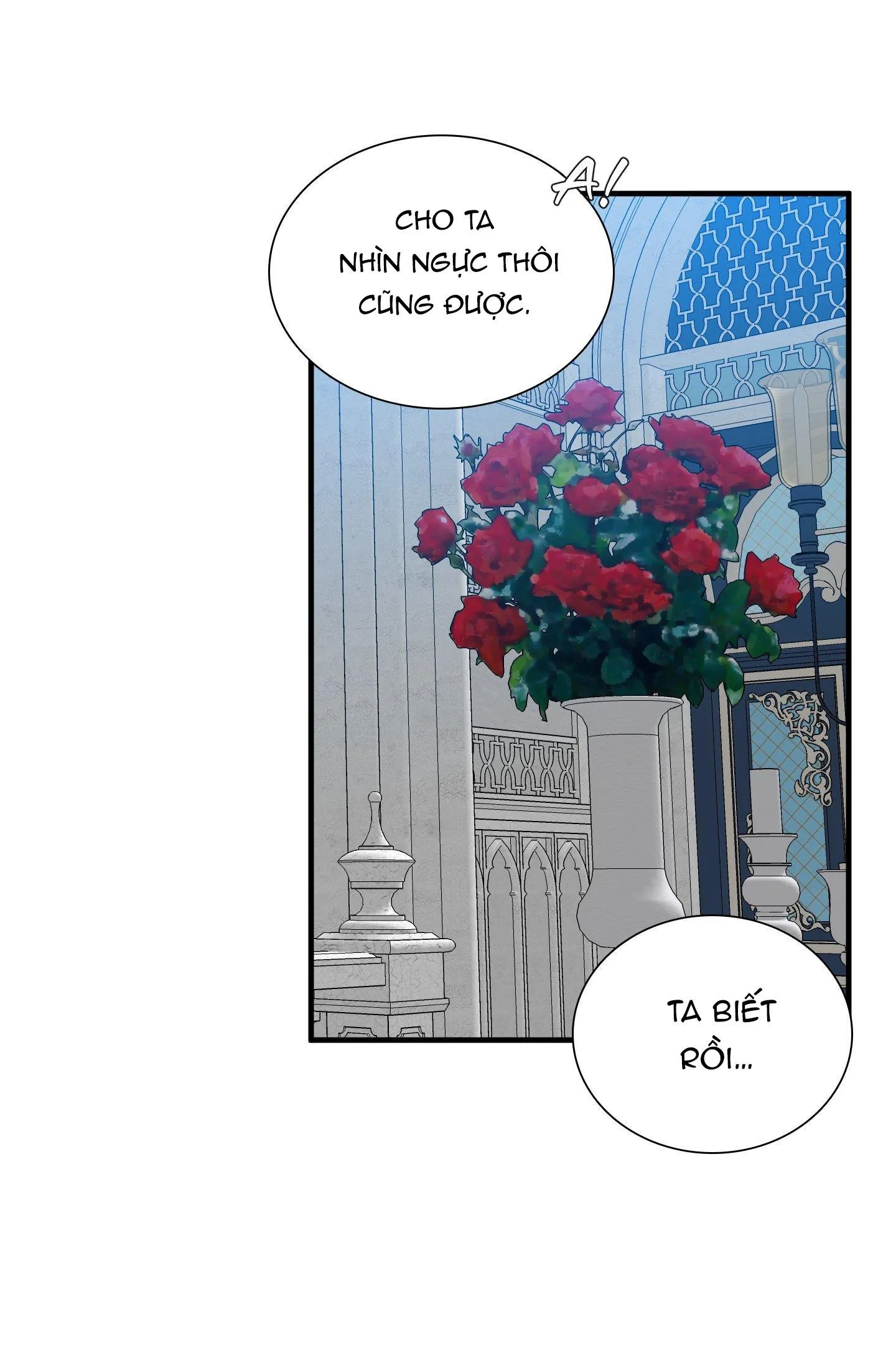 SMYRNA VÀ CAPRI Chapter 43 Trang 39