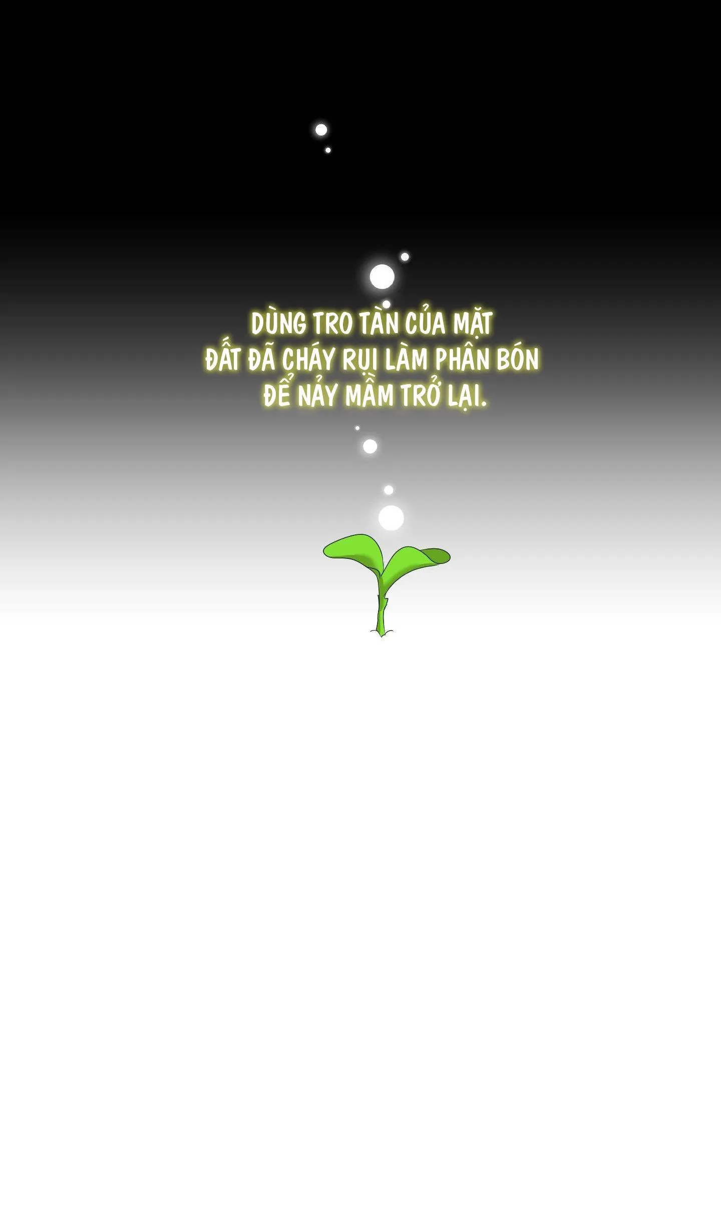 SMYRNA VÀ CAPRI Chapter 47 Trang 60