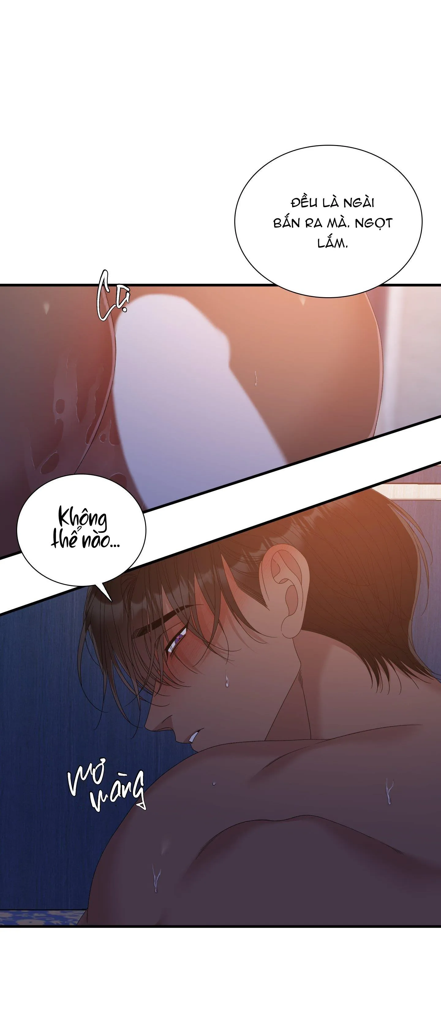 SMYRNA VÀ CAPRI Chapter 51 Trang 32