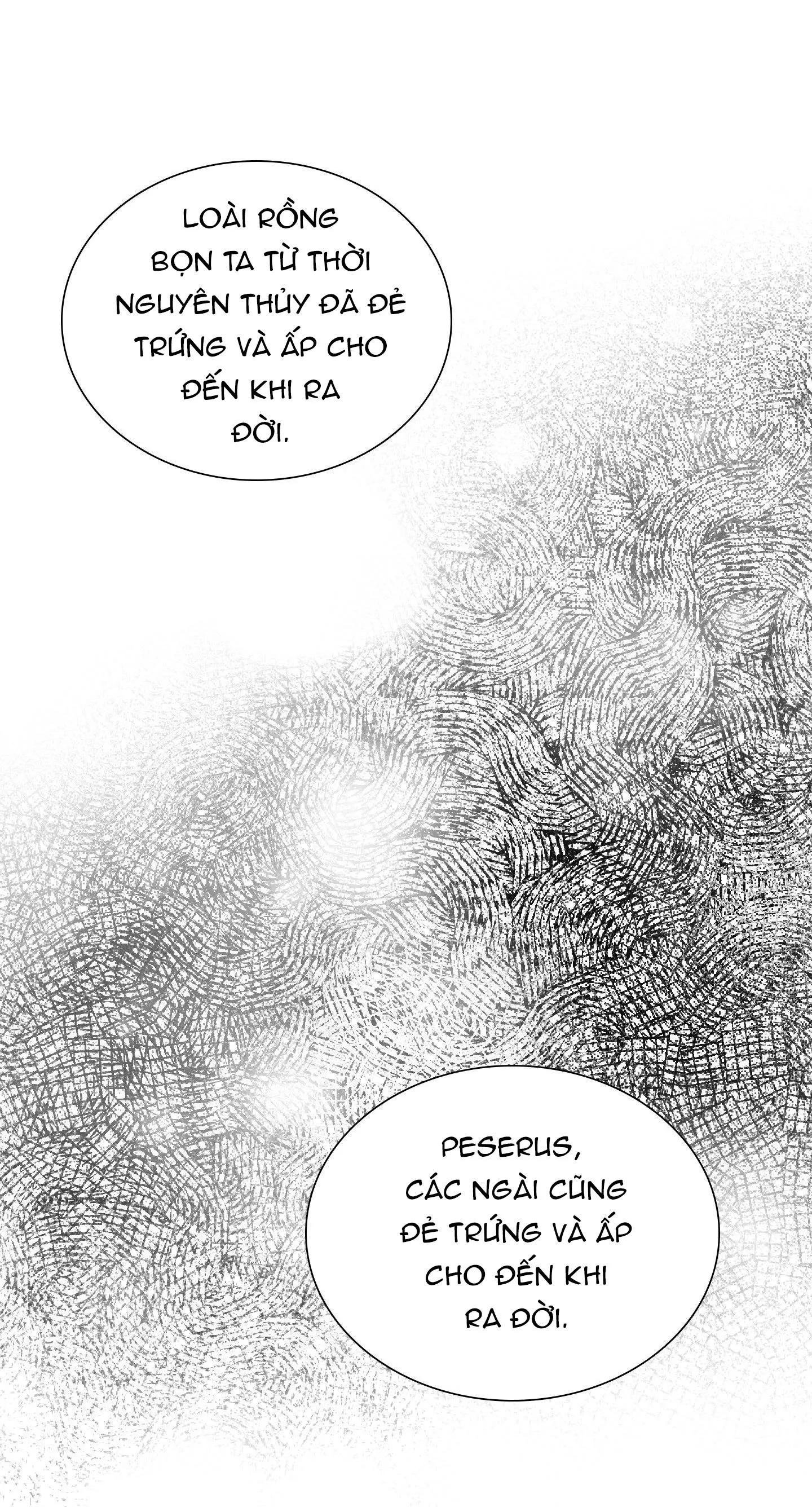 SMYRNA VÀ CAPRI Chapter 53 Trang 47