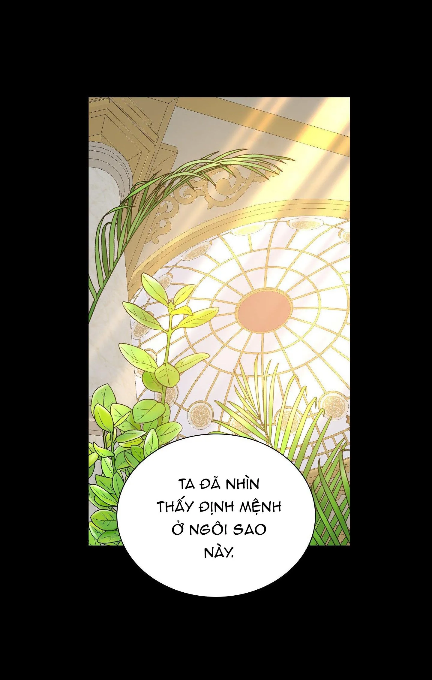 SMYRNA VÀ CAPRI Chapter 53 Trang 56