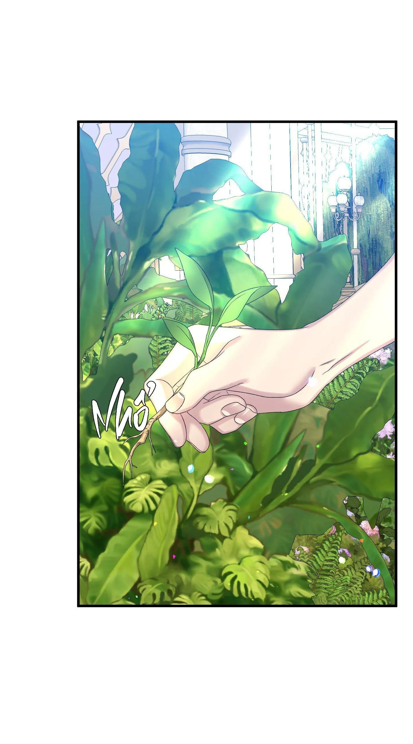 SMYRNA VÀ CAPRI Chapter 54 Trang 12