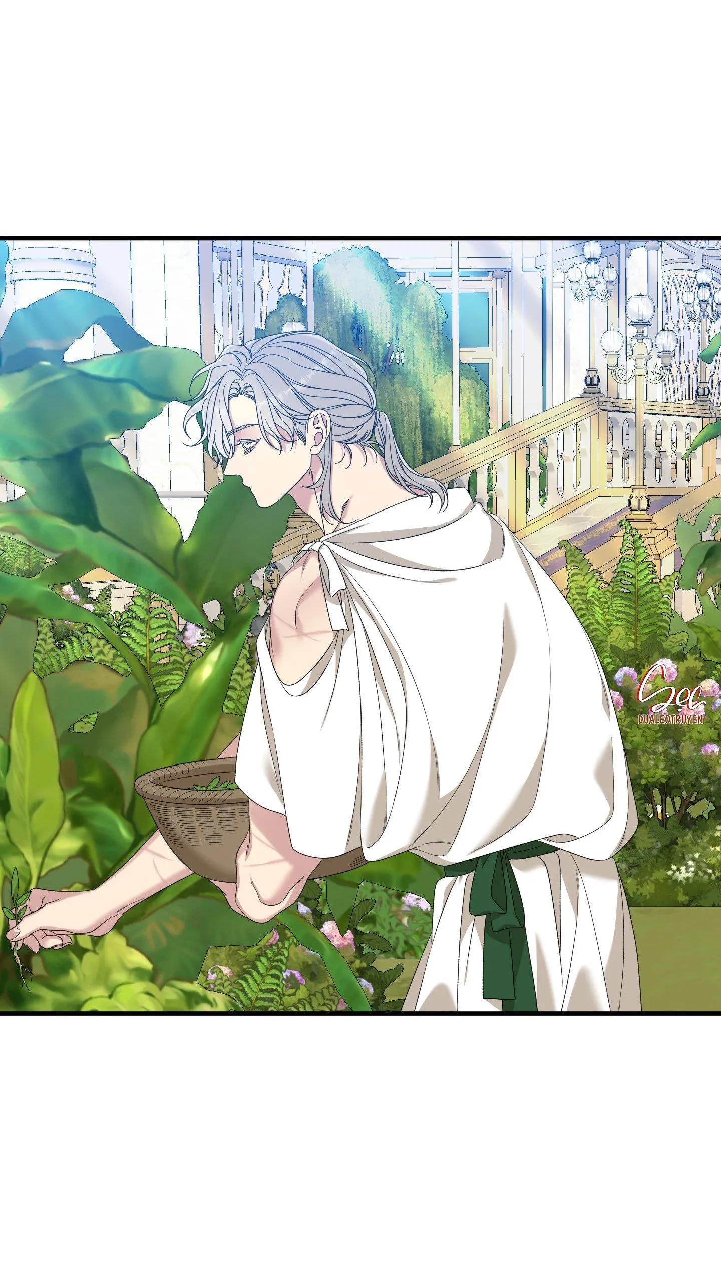 SMYRNA VÀ CAPRI Chapter 54 Trang 13