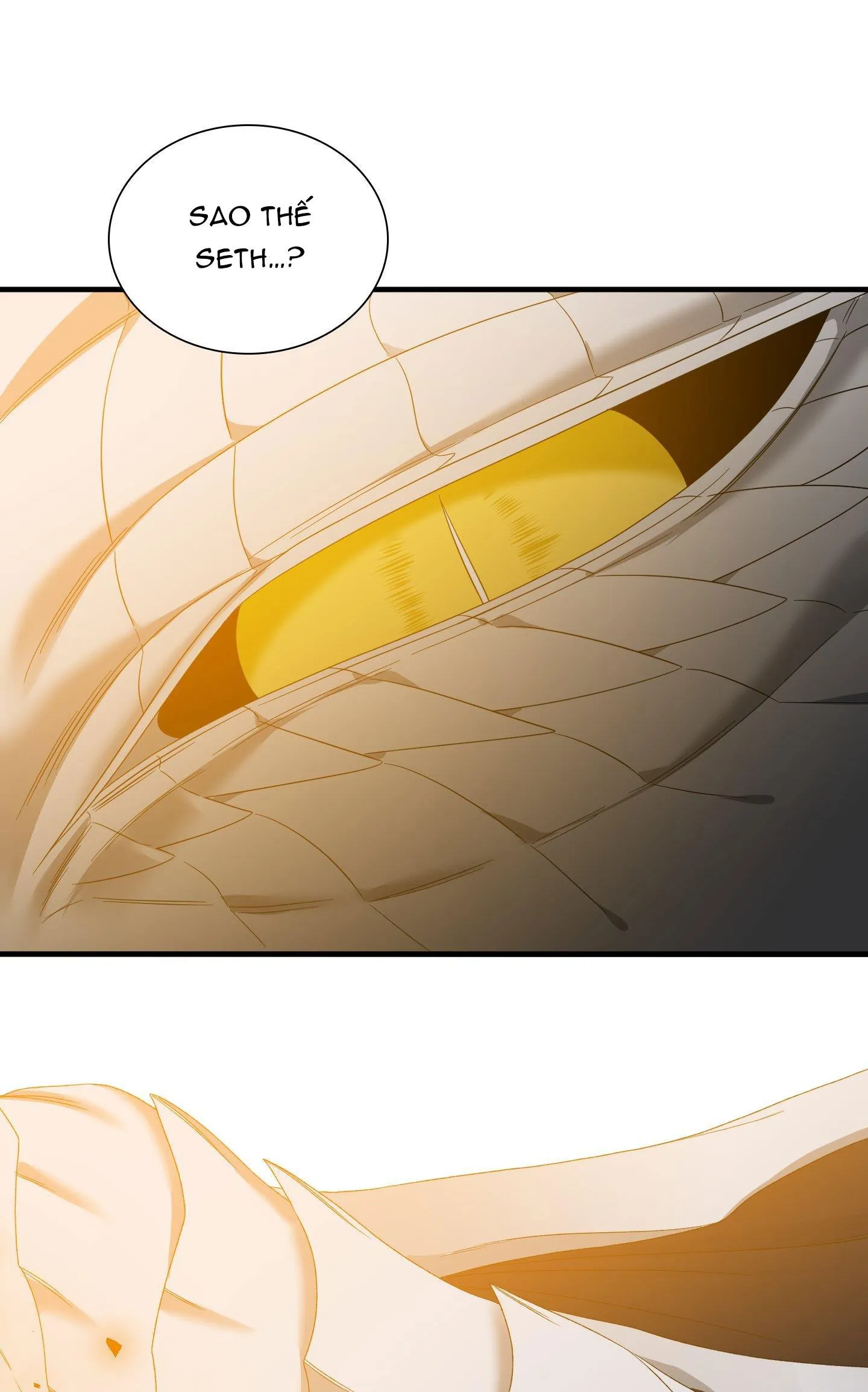 SMYRNA VÀ CAPRI Chapter 66 Trang 77