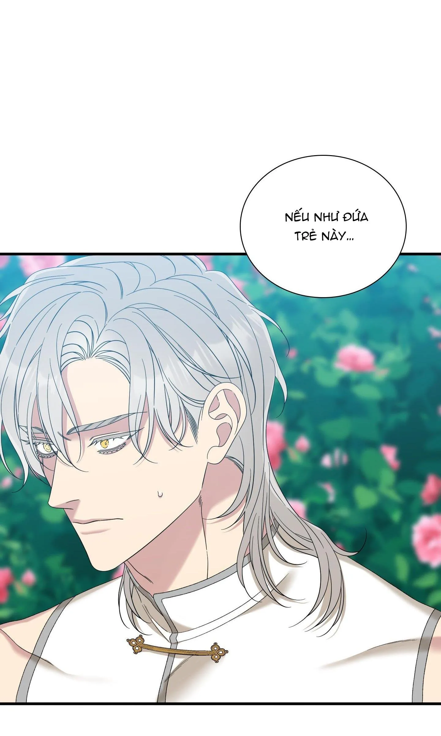 SMYRNA VÀ CAPRI Chapter 70 Trang 41