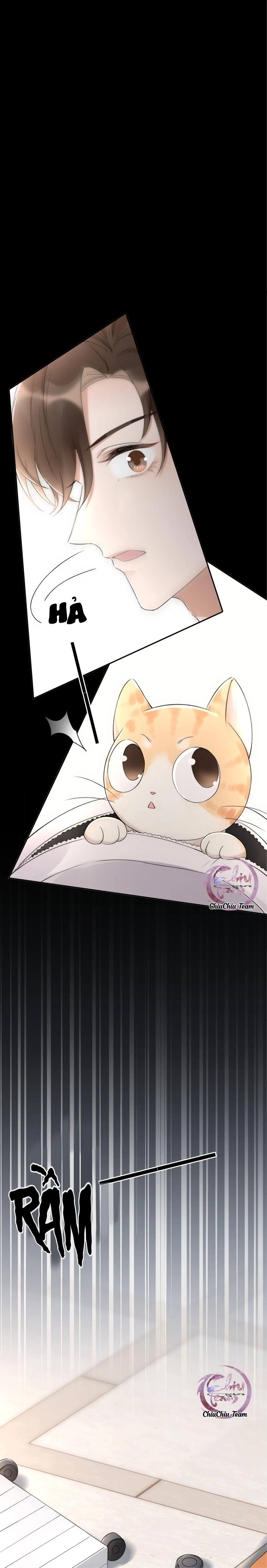 Số Ngày Cùng Tra Công Quyết Đấu Trực Diện (END) Chapter 2 Trang 13