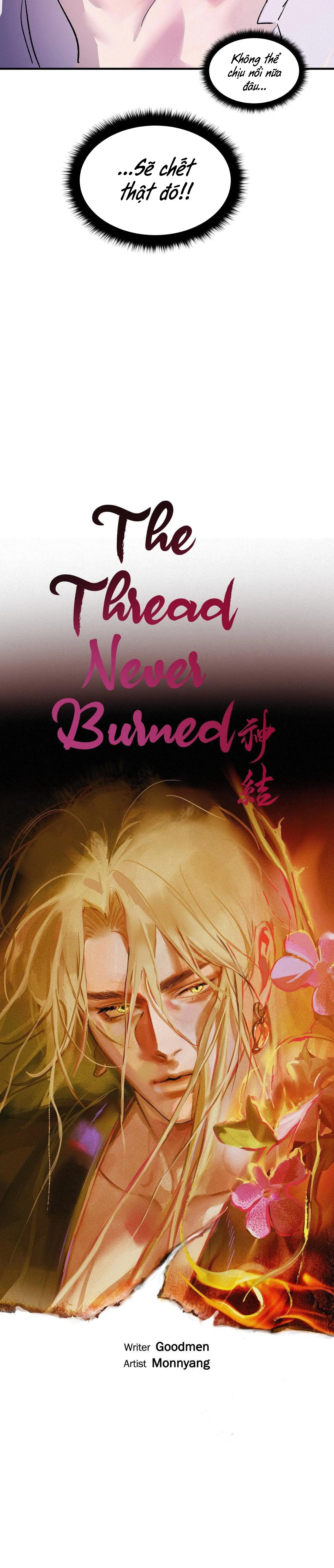 Sợi Chỉ Đỏ Không Tàn Chapter 14 Trang 3