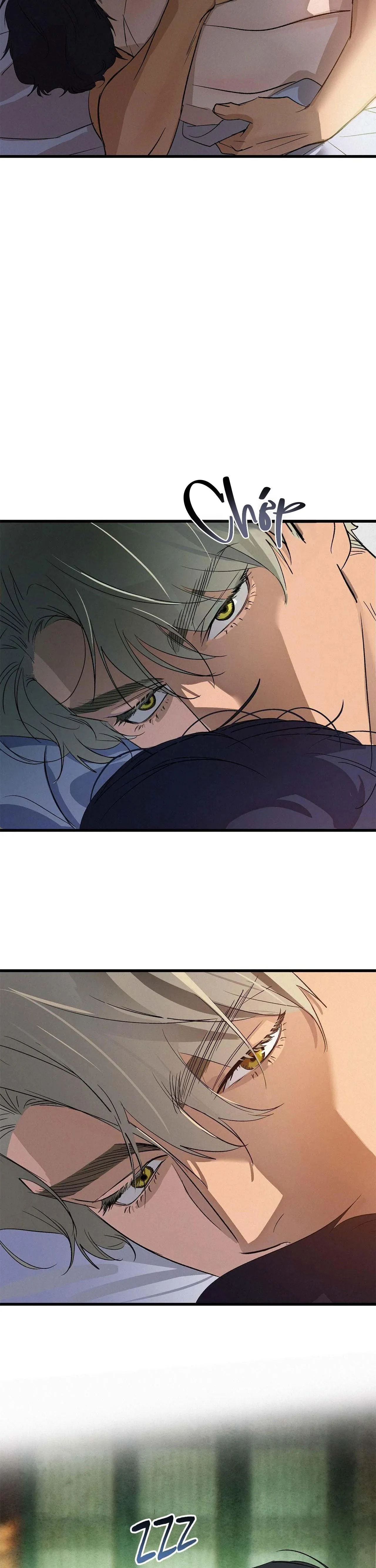 Sợi Chỉ Đỏ Không Tàn Chapter 16 Trang 3