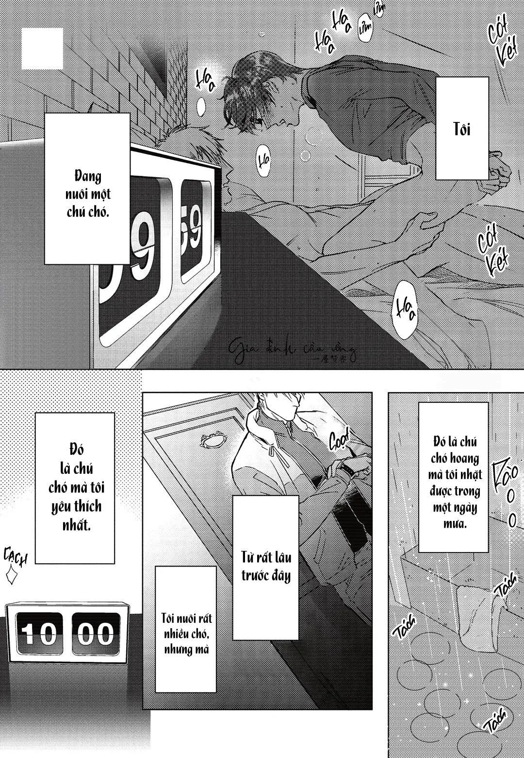 Sợi dây xích đứt Chapter 0 Trang 4