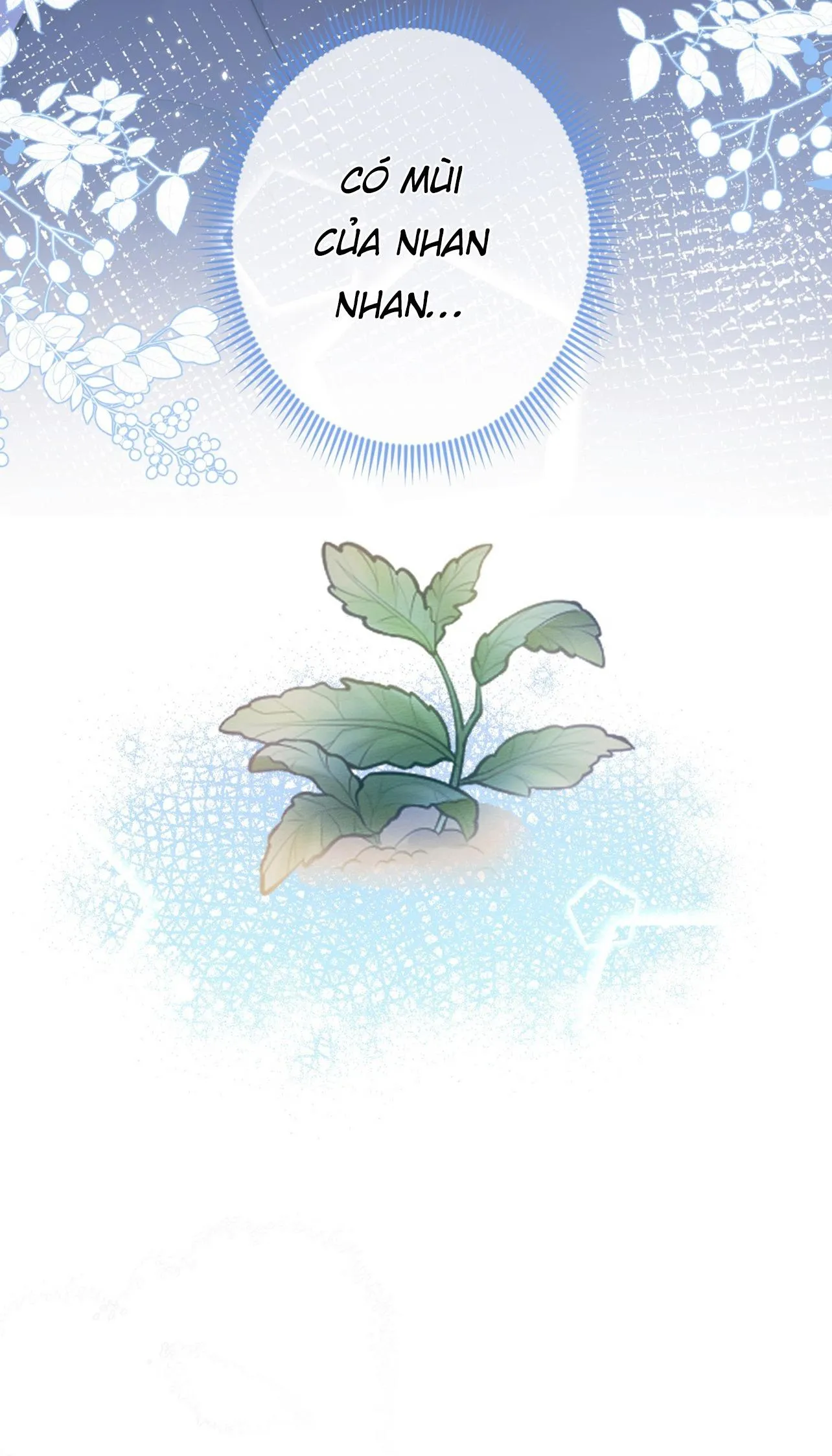 Sói Báo Ơn (END) Chapter 2 Trang 12