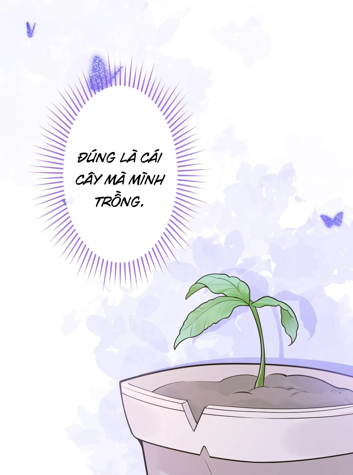 Sói Báo Ơn (END) Chapter 12 Trang 14