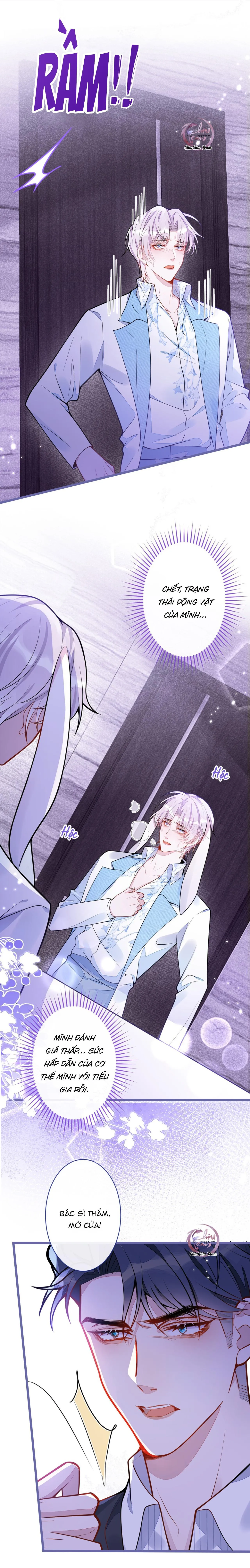 Sói Báo Ơn (END) Chapter 14 Trang 10