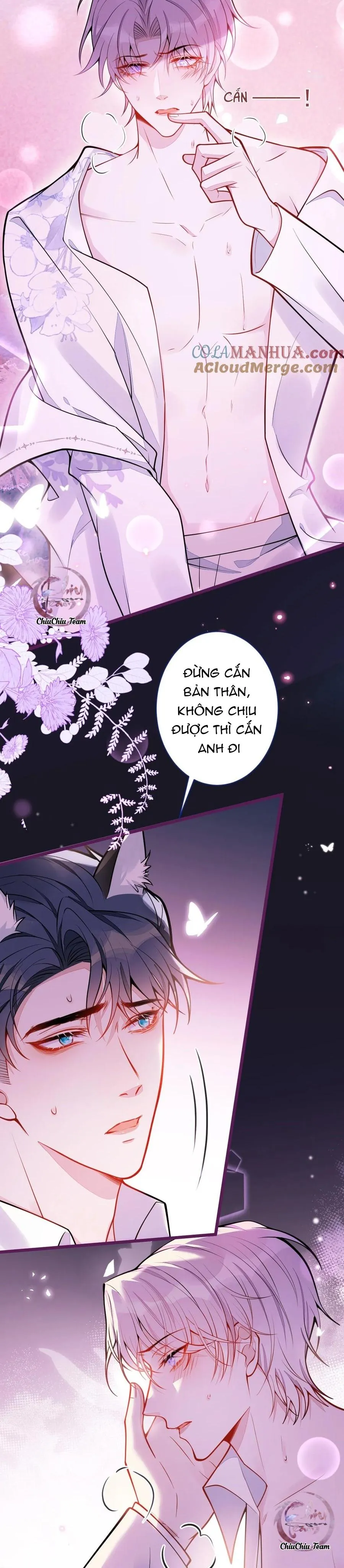 Sói Báo Ơn (END) Chapter 24 Trang 8