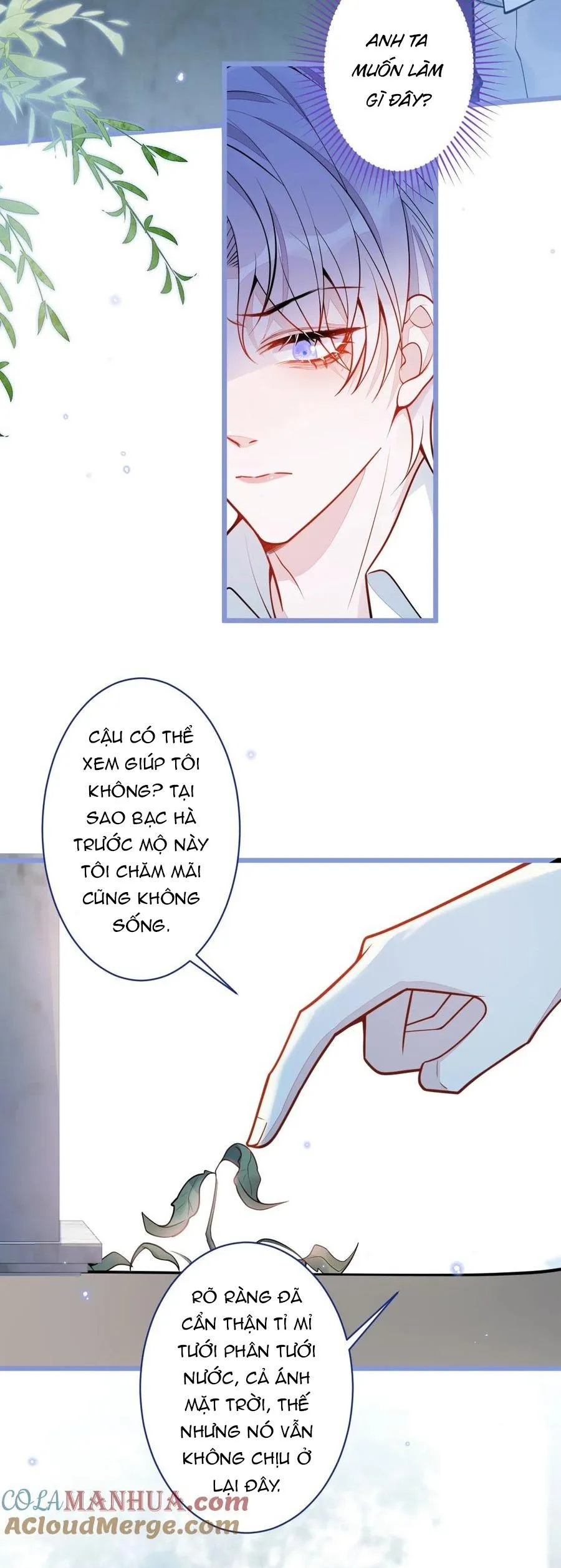 Sói Báo Ơn (END) Chapter 30 Trang 6