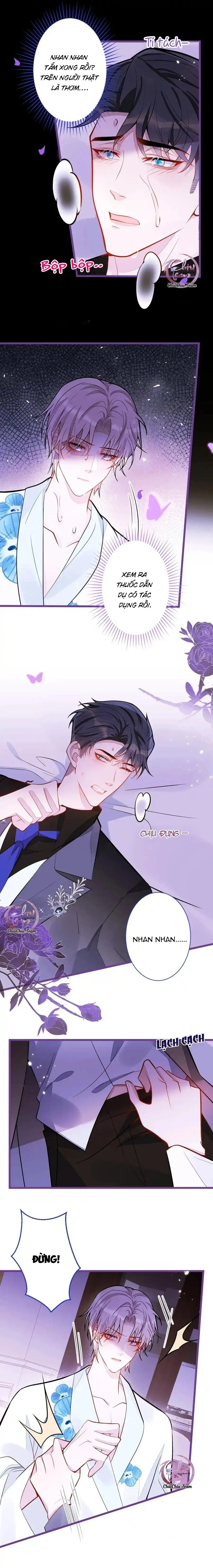 Sói Báo Ơn (END) Chapter 46 Trang 4