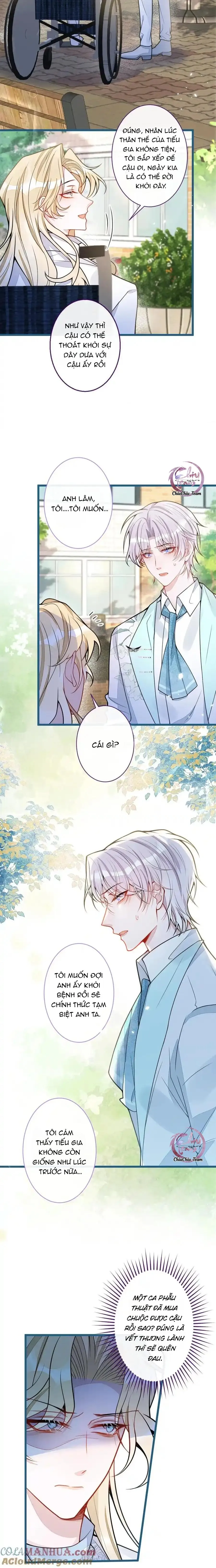 Sói Báo Ơn (END) Chapter 46 Trang 11