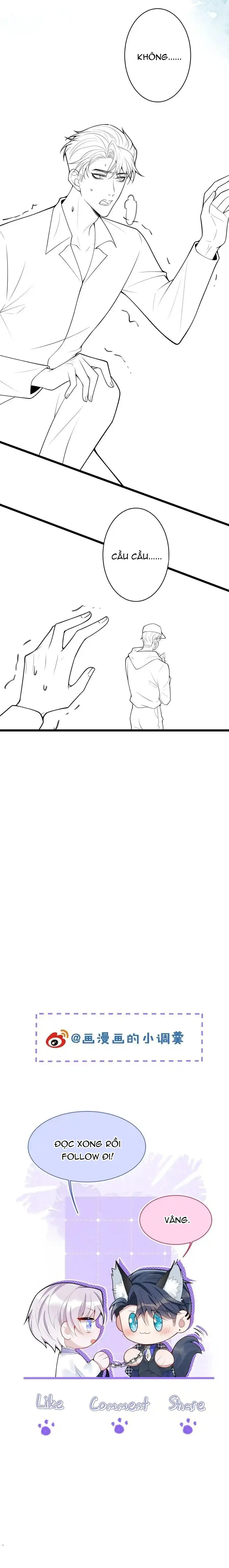 Sói Báo Ơn (END) Chapter 46 Trang 13