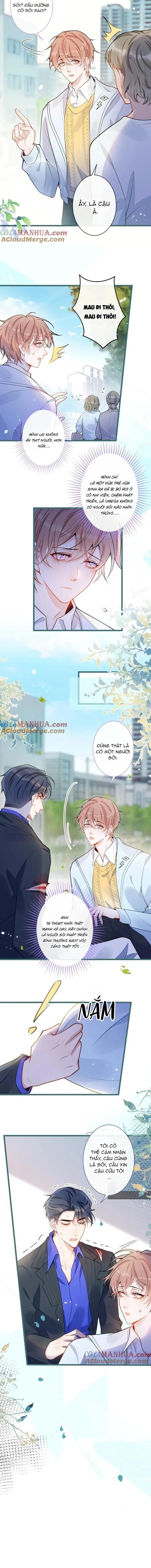 Sói Báo Ơn (END) Chapter 49 Trang 6