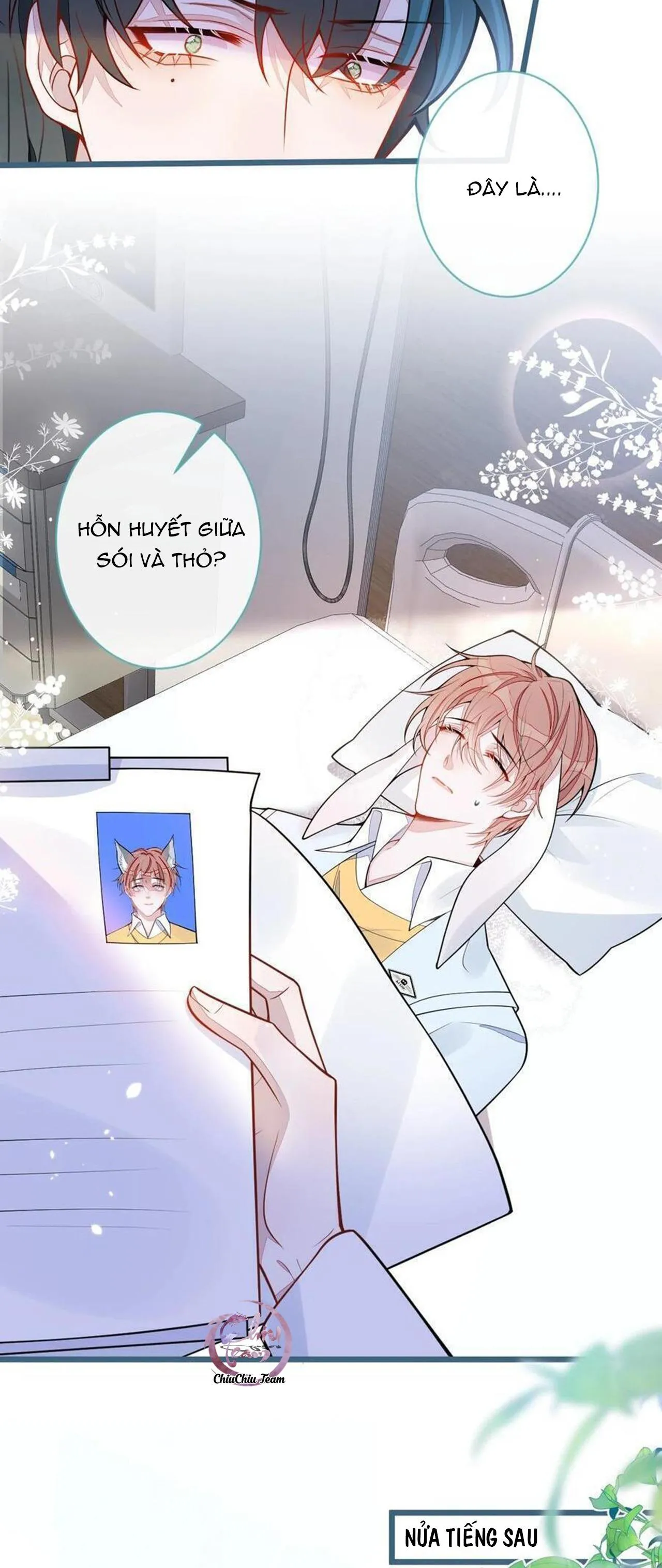 Sói Báo Ơn (END) Chapter 52 Trang 16