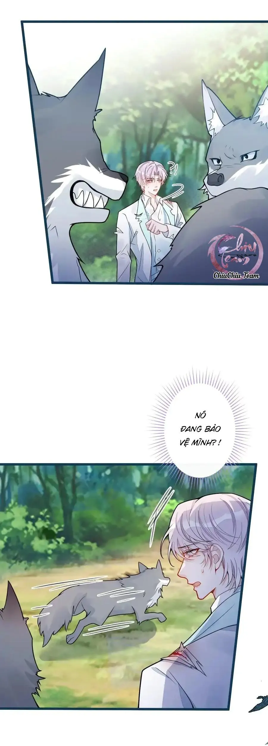 Sói Báo Ơn (END) Chapter 54 Trang 12