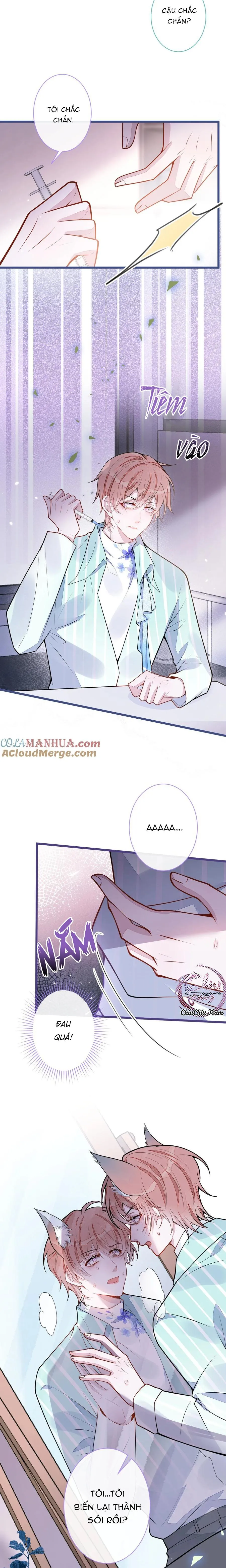 Sói Báo Ơn (END) Chapter 55 Trang 10