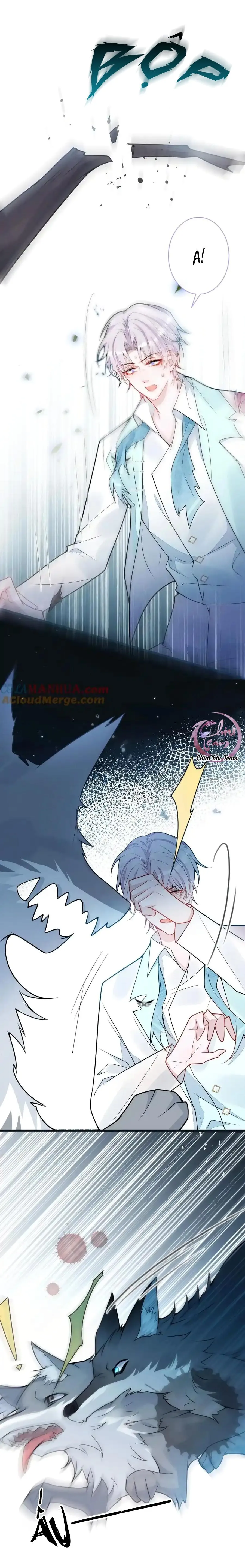 Sói Báo Ơn (END) Chapter 56 Trang 8